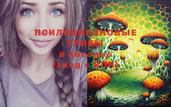 ECSTASY Белоозёрский